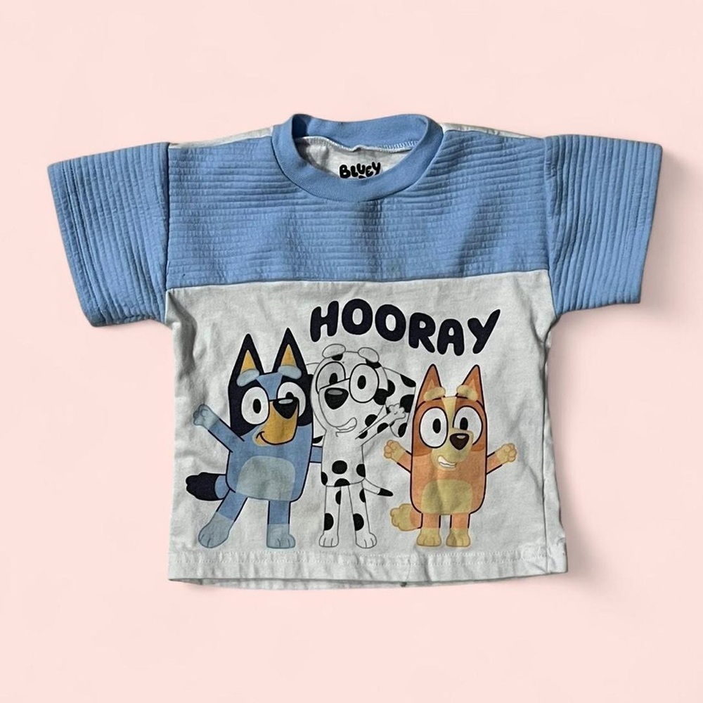 Bluey Kids' Blue and White Hooray Graphic Tee